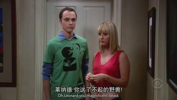 ը һ(The Big Bang Theory Seas